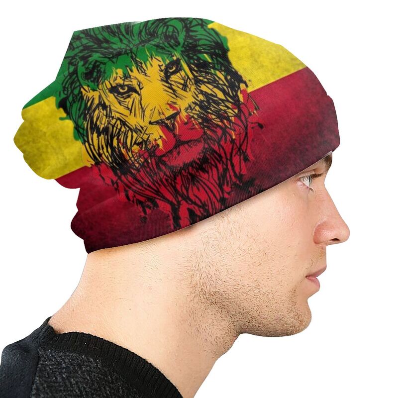 Bonnet Lion Rasta