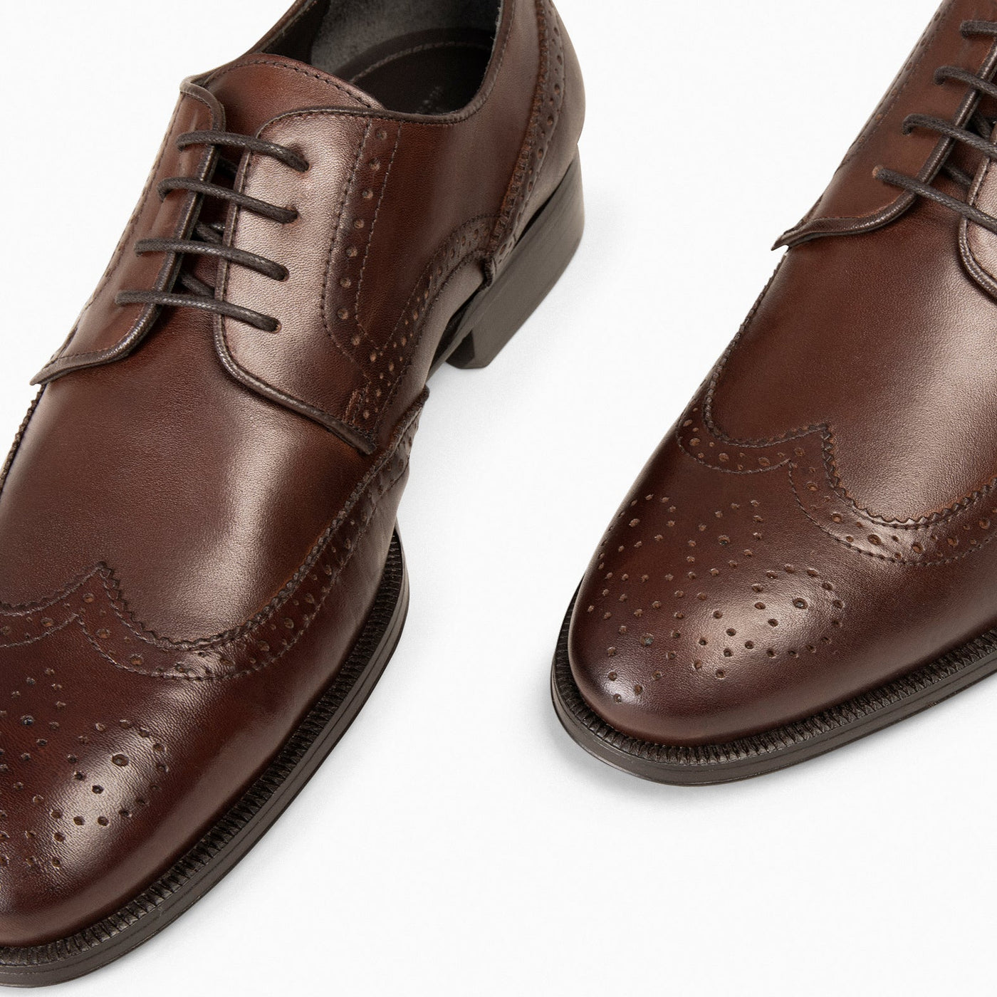 LOPE – Derby brogues pour homme en cuir MARRON